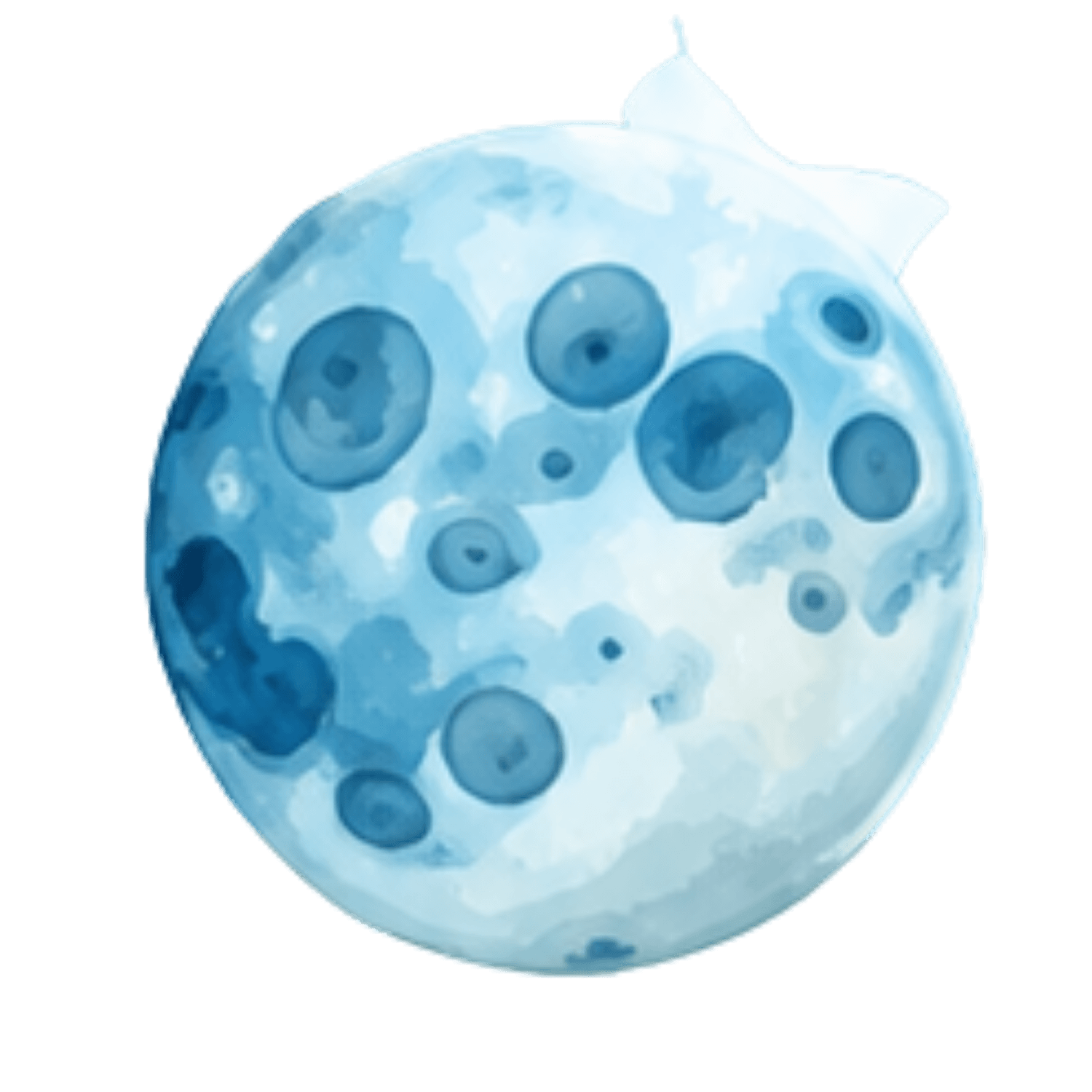 Planeta